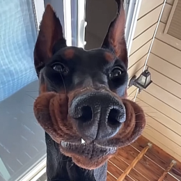 /:\Marc-Moppel/:\ (GER)'s avatar