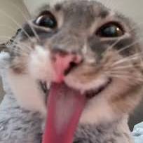 BeeroMatta