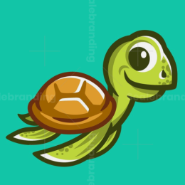 Timber Turtle