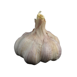 chusnek