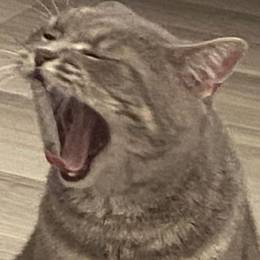 'αstrσ