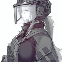 sino-grav