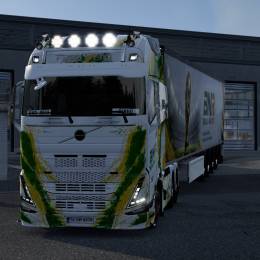 BNR LOG - VTC Dinho G.F.