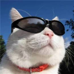 老老老老老老seven