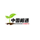 CN-XY-一枝花