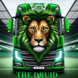 TheDruidPT
