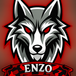Enzodu9010