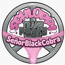 SenorBlackCobra's avatar