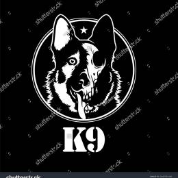 Blackdog379!