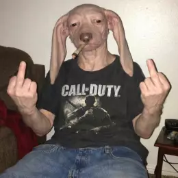 User
