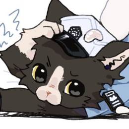 LazyCatto
