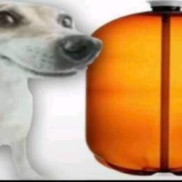 `кαтαлιzαтσρ