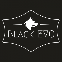 [ST] BlackEVO's avatar