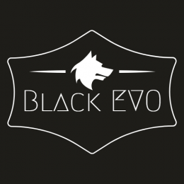 BlackEVO's avatar