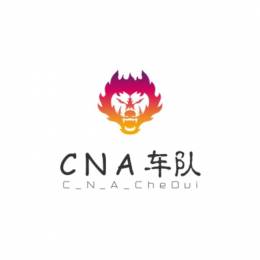 C N A -[02]