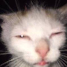 LimaxvBR's avatar