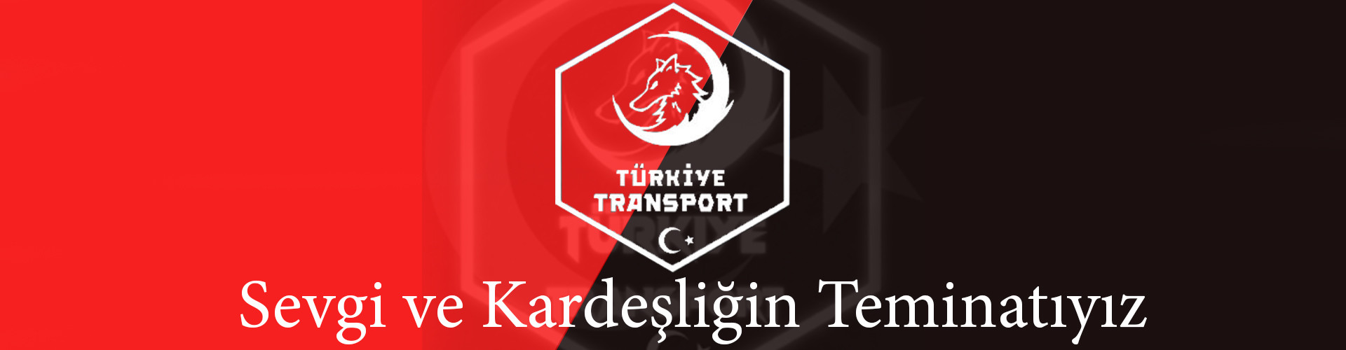 Türkiye Transport Public Convoy