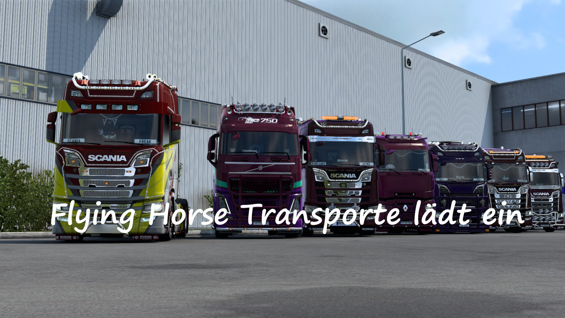 4  Jahre Flying Horse Transporte