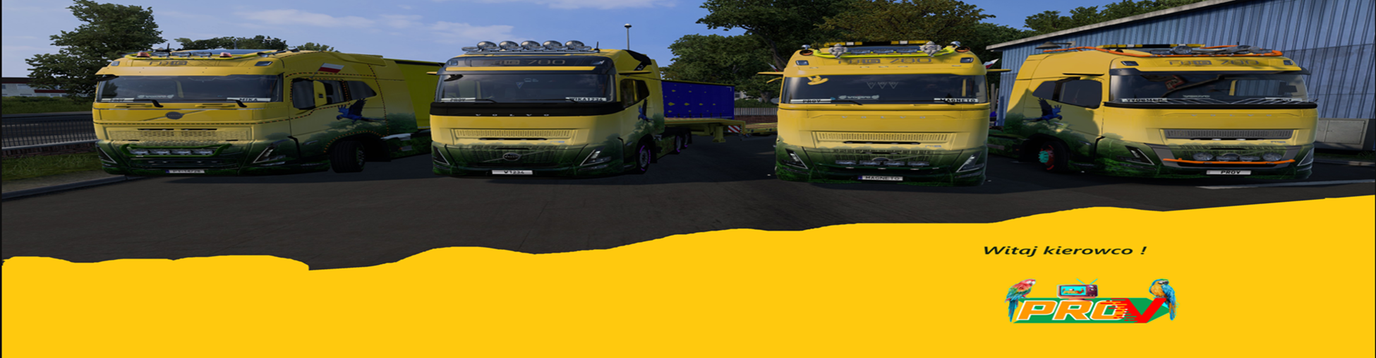 Urodziny ProV  ( 4 rok )