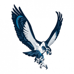 The Hawks