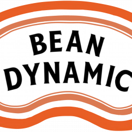BeanDynamic