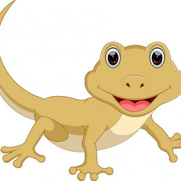 Lizzards Associated