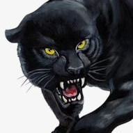 Speed Panthers