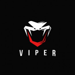 Viper Logistics by CSG