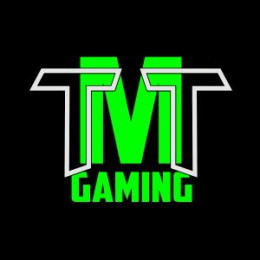 TMT Truck VTC