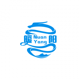 中国暖阳车队
