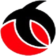 RCJ Transport, LLC