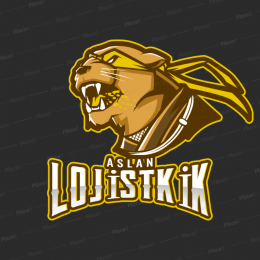 ANKZON LOGİSTİC