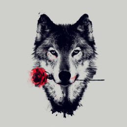 BlackWolf-Rus66