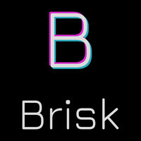 Brisk Logistics