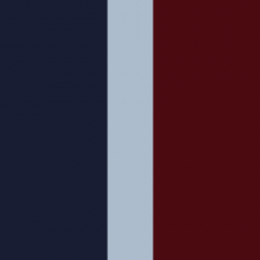 Royal Air Force Regiment.