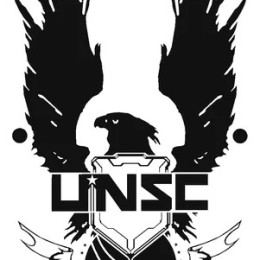 UNSC-中国联合运输车队