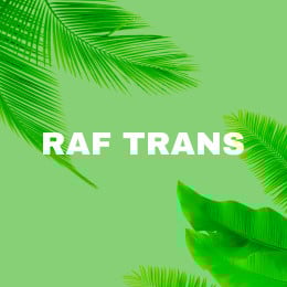 RAF TRANS's VTC logo