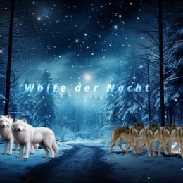 Wölfe der Nacht Logistik