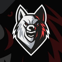 WOLFTEAM EURO TRANSPORT