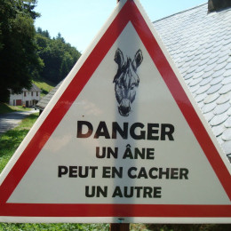 Les Camionneurs Fous