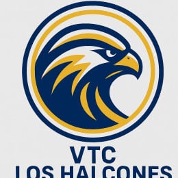 Los Halcones