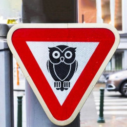 Routier Owl