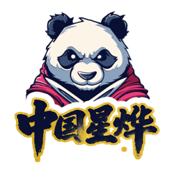 中国星烨车队