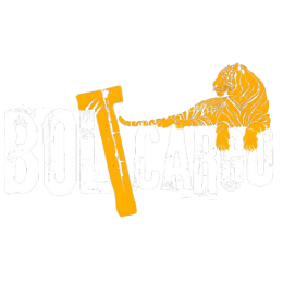 Bolt Cargo