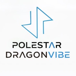 龙振运输公司「Dragon Vibe Transit」