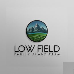 Low Field