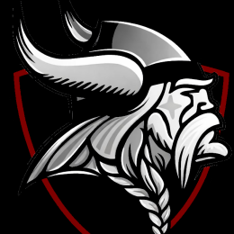 Viking Cargo Logistik