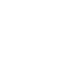 RAXERIA COMMUNİTY's VTC logo