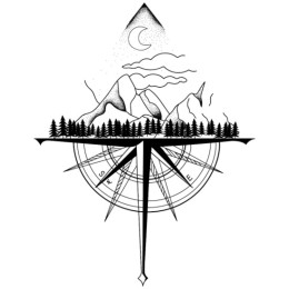 jyllαпd тяαпsρσят's VTC logo