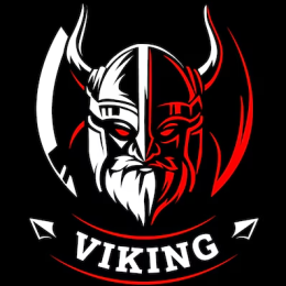 Viking Transporte Germany